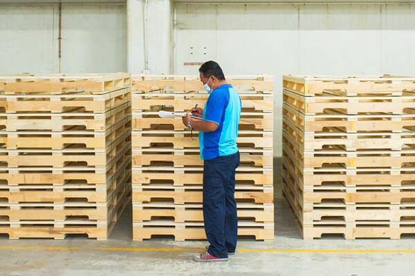 Mega Teamway Gallery