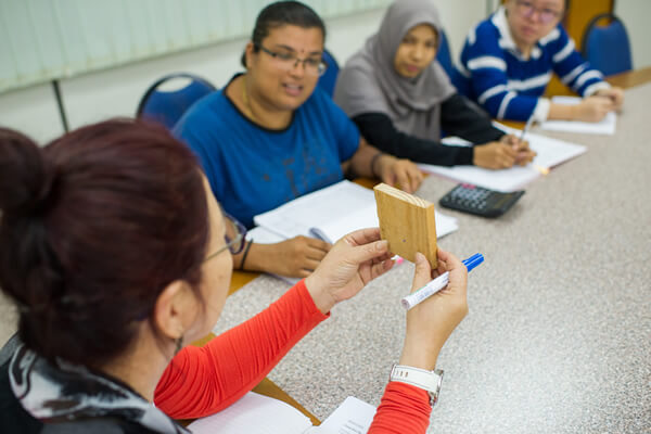 Mega Teamway Gallery